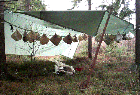 IMAGE imgs/index05.gif