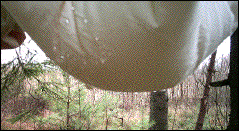 IMAGE imgs/index06.gif
