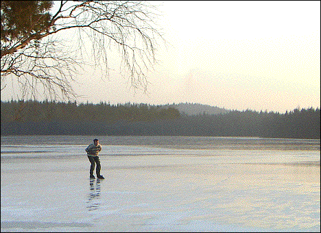 IMAGE imgs/index03.gif