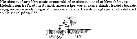 IMAGE imgs/sopo12.gif