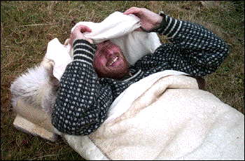 IMAGE imgs/sopo15.gif