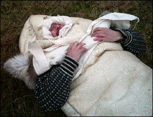 IMAGE imgs/sopo19.gif