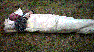 IMAGE imgs/sopo20.gif