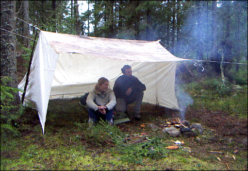 IMAGE imgs/Vindskydd03.gif
