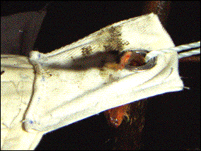 IMAGE imgs/Vindskydd21.gif